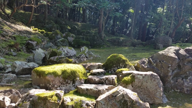 苔寺の概要